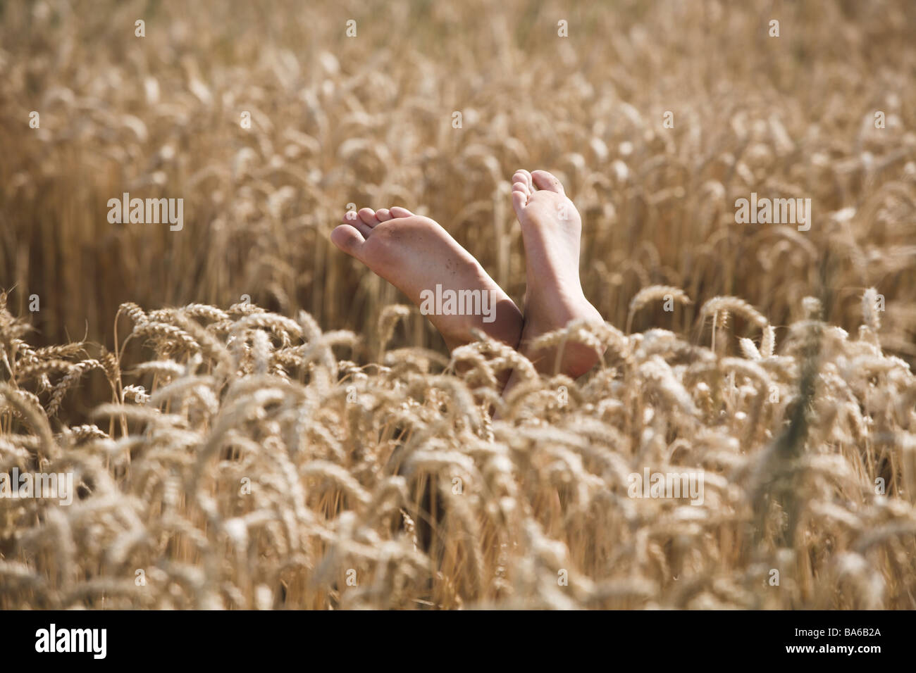 Grain-field women-feet people woman feet high-stretches barefoot ...