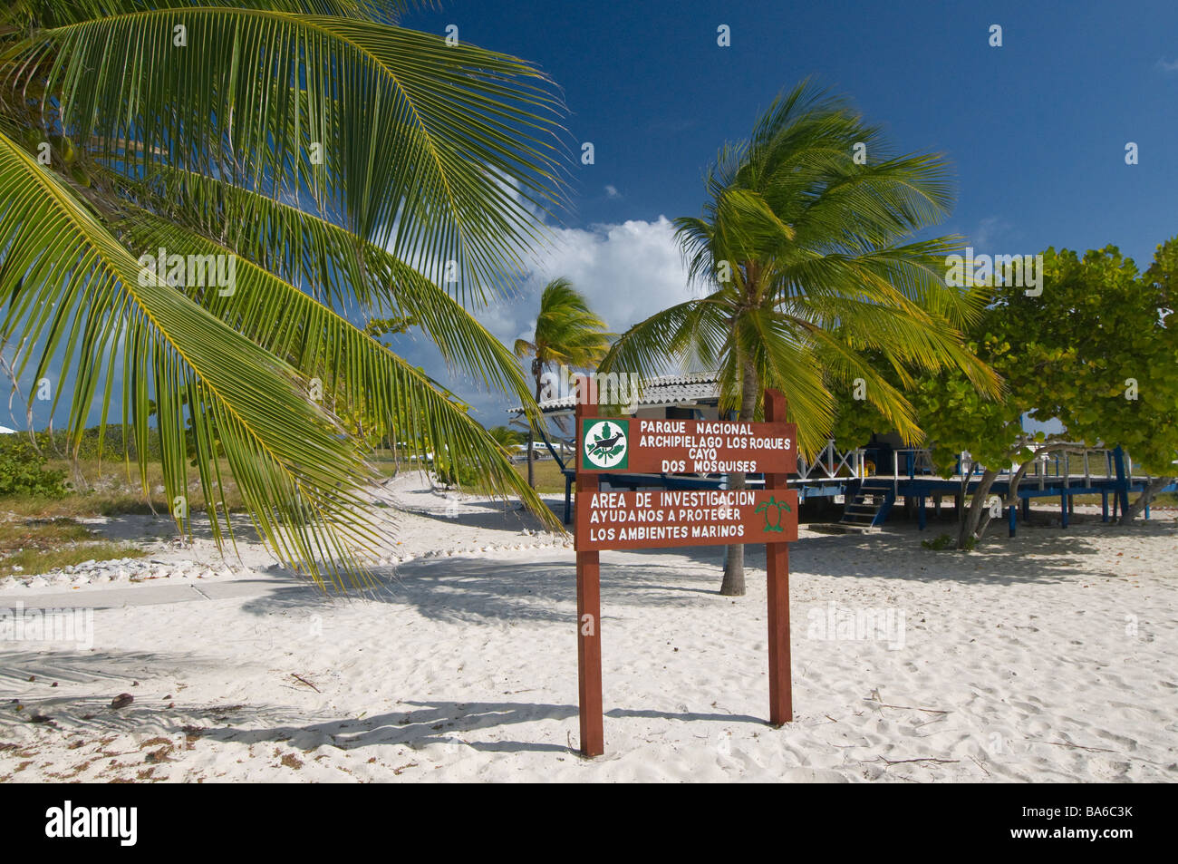 turtle sanctuary Dos Mosquises Island Los Roques National Park