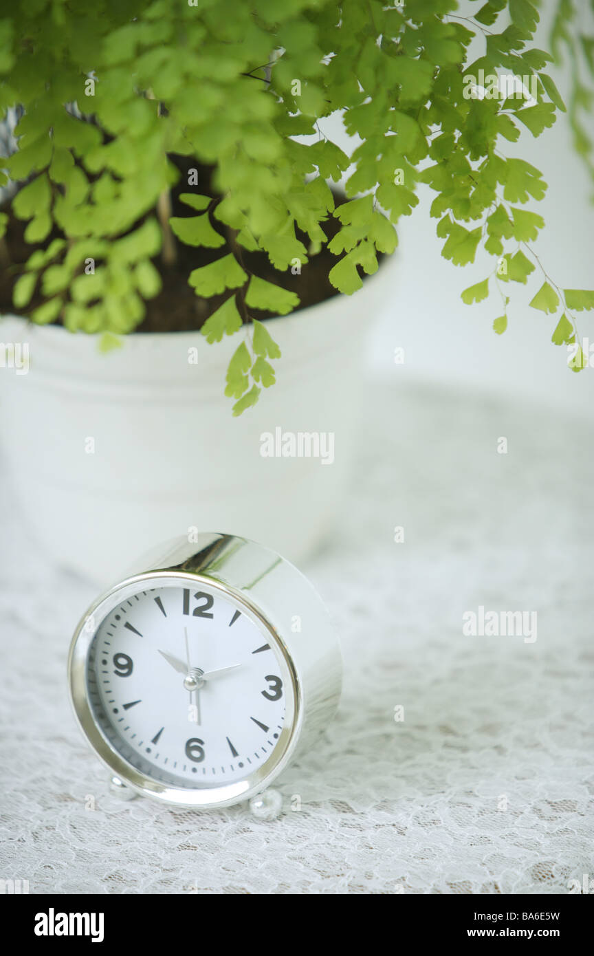 Clock by potted plant Stock Photo