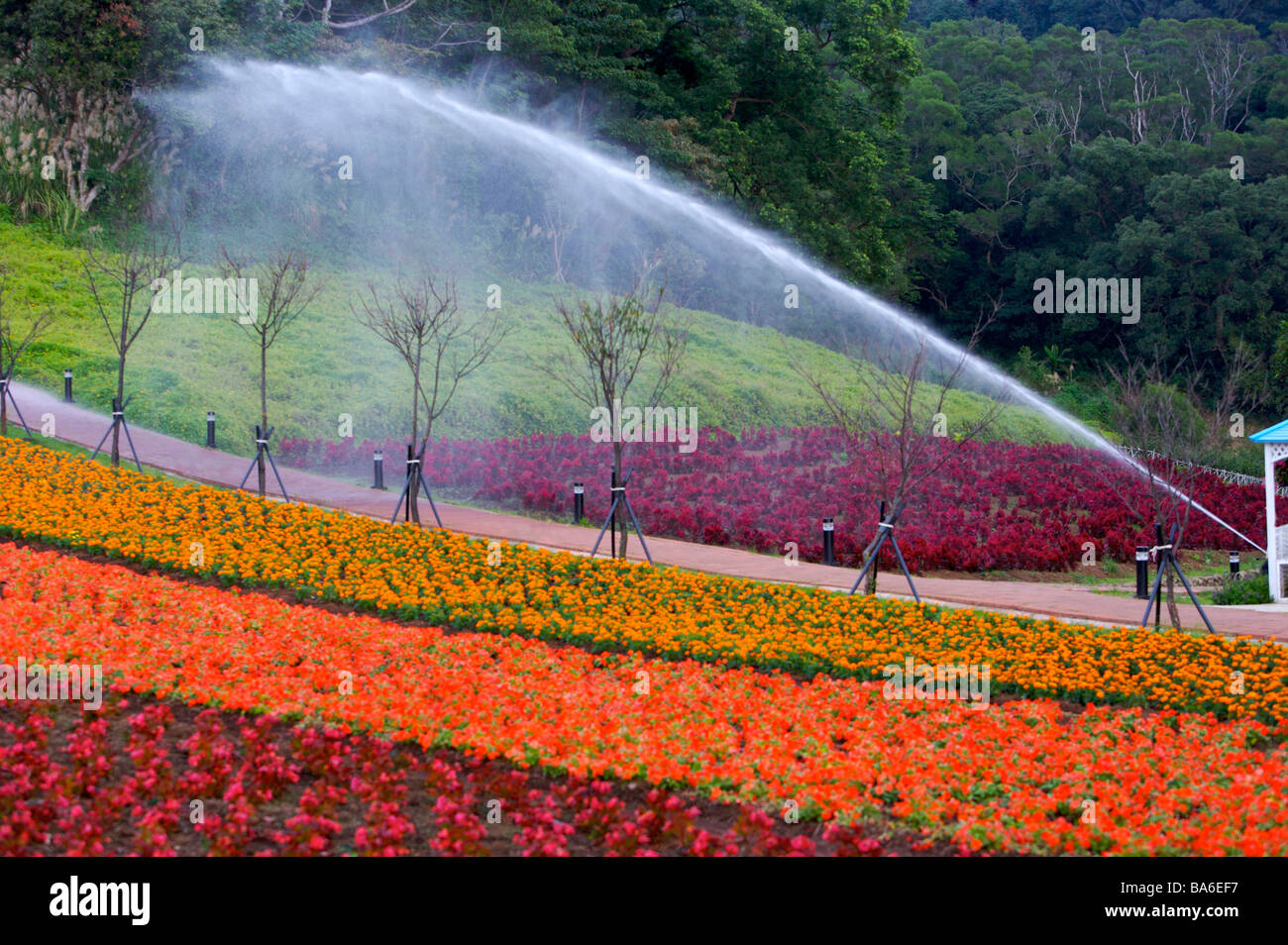 Watering beds hi-res stock photography and images - Alamy