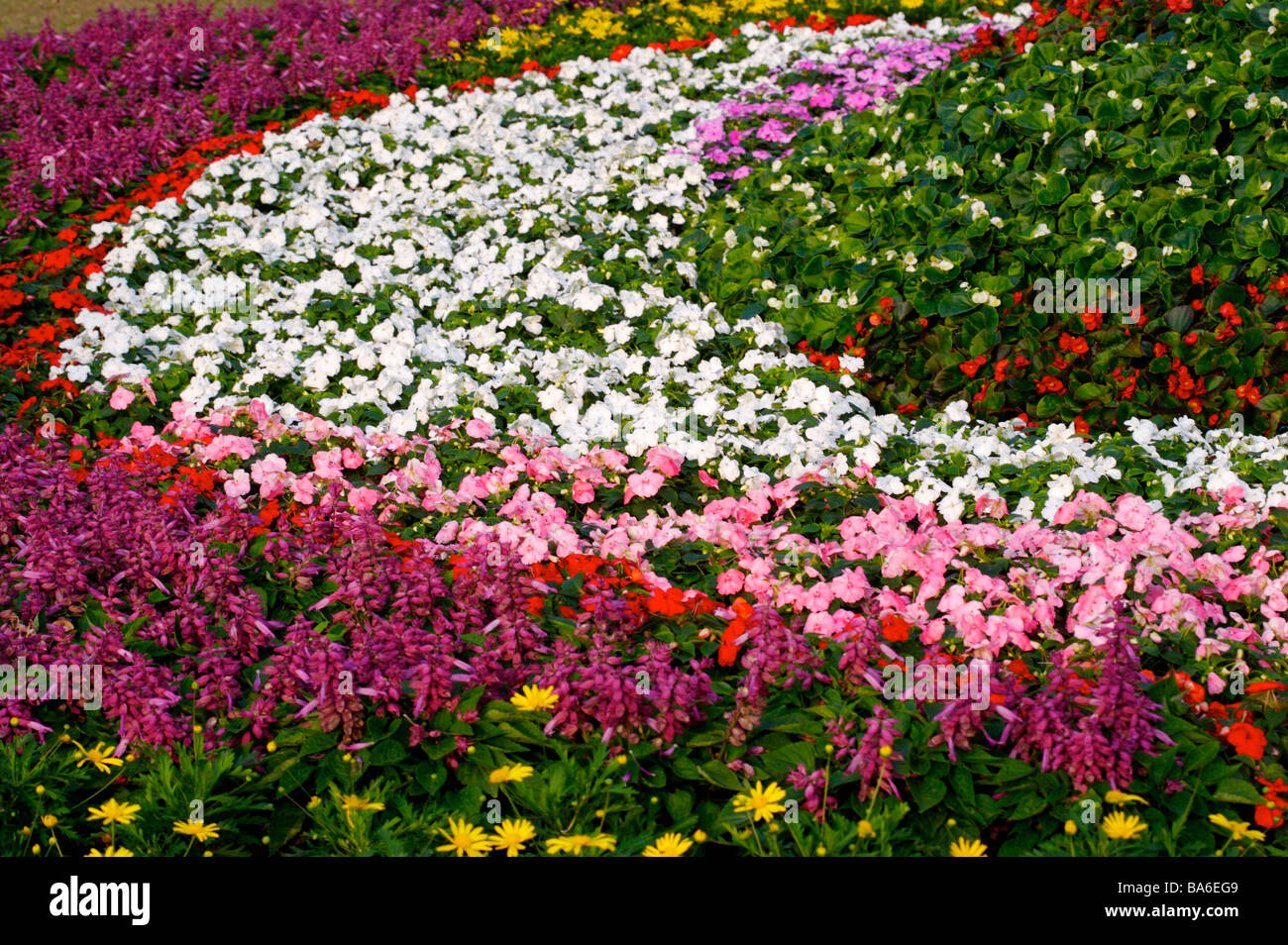 Flower beds in a garden Stock Photo Alamy