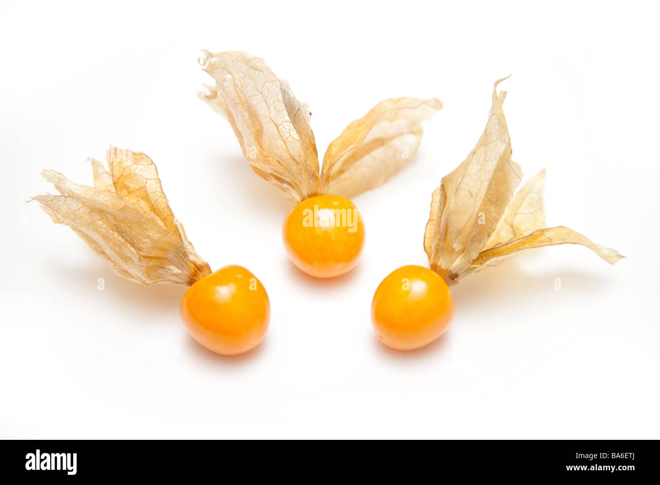 Physalis isolated on a white studio background Stock Photo
