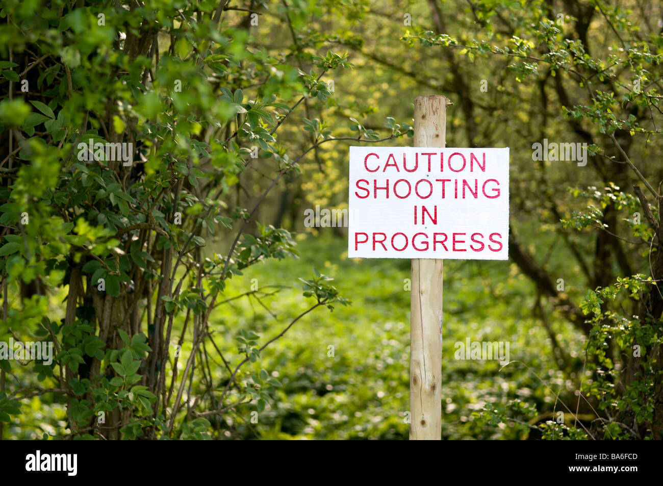 Shooting in progress sign in local woods near to Overscourt wood at