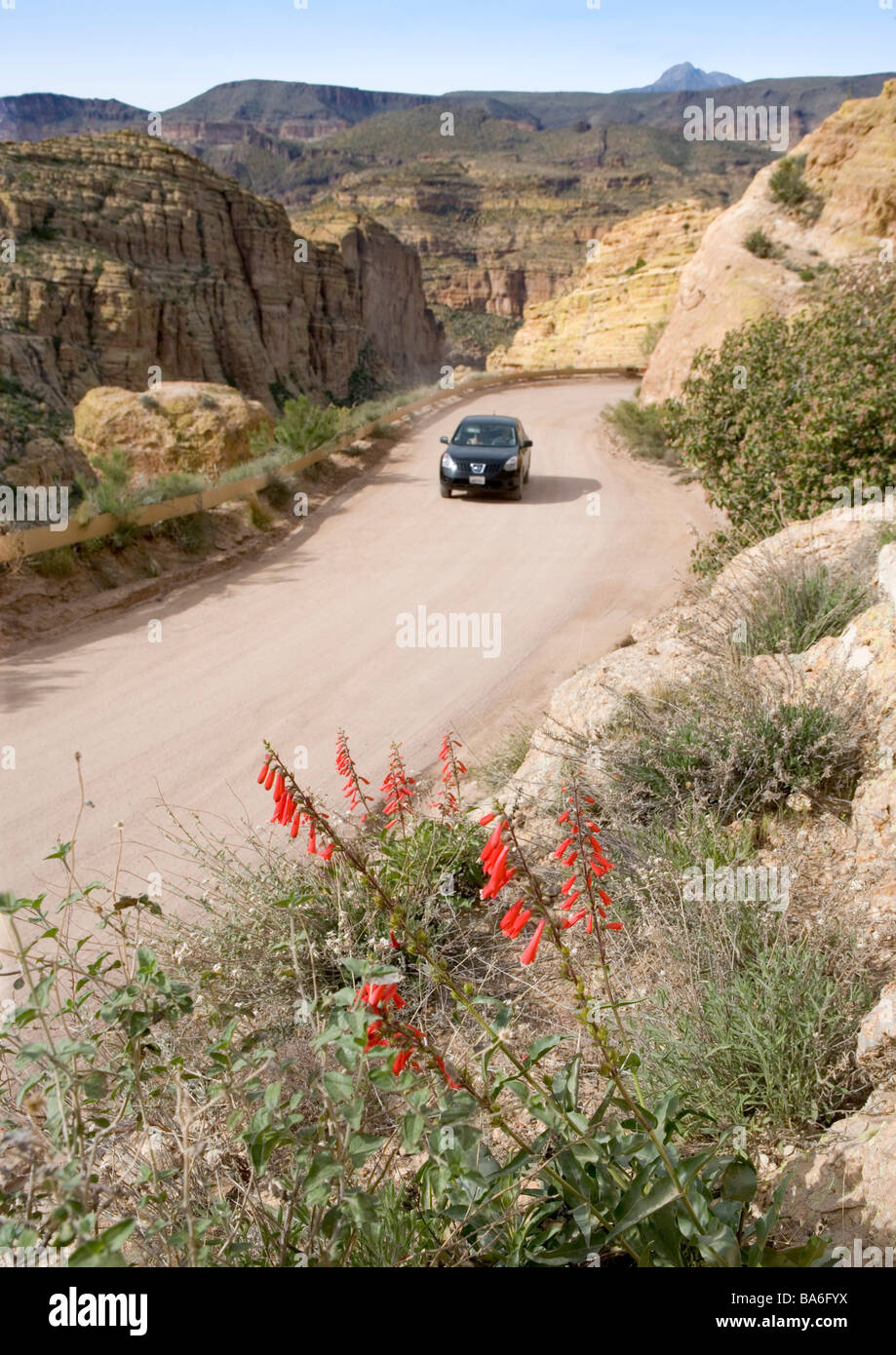 Tourists in a car negotiate the dirt road that comprises much of the Apache Trail east of Phoenix Arizona Stock Photo