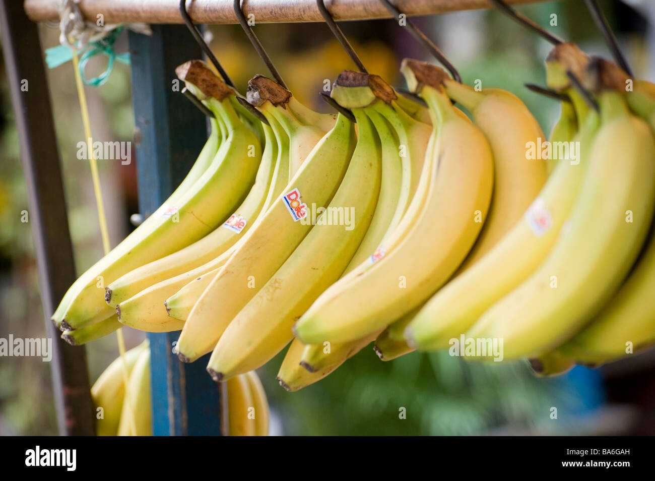 Dole banana hires stock photography and images Alamy