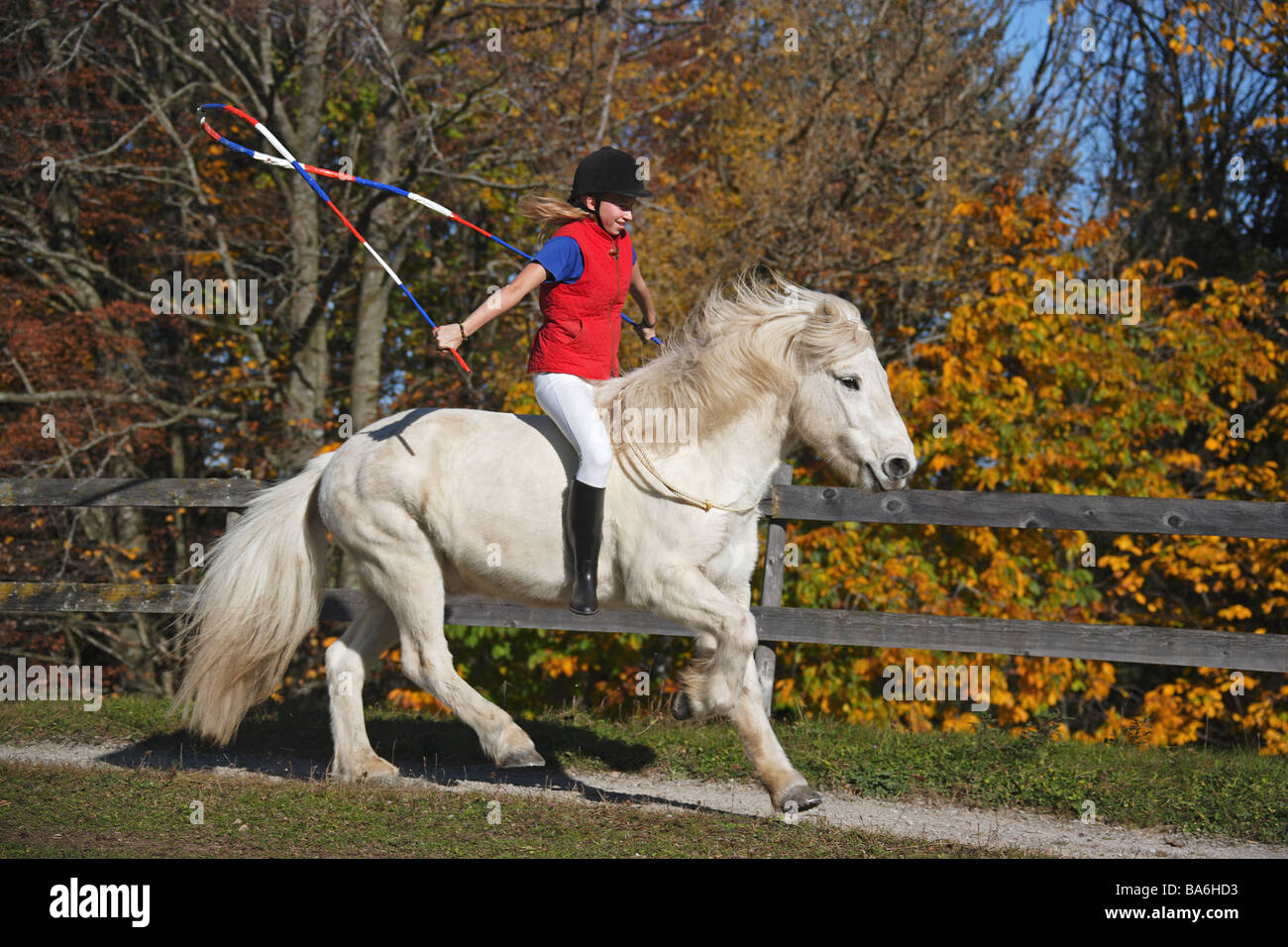 girl riding on Icelandic horse jump rope Stock Photo Alamy