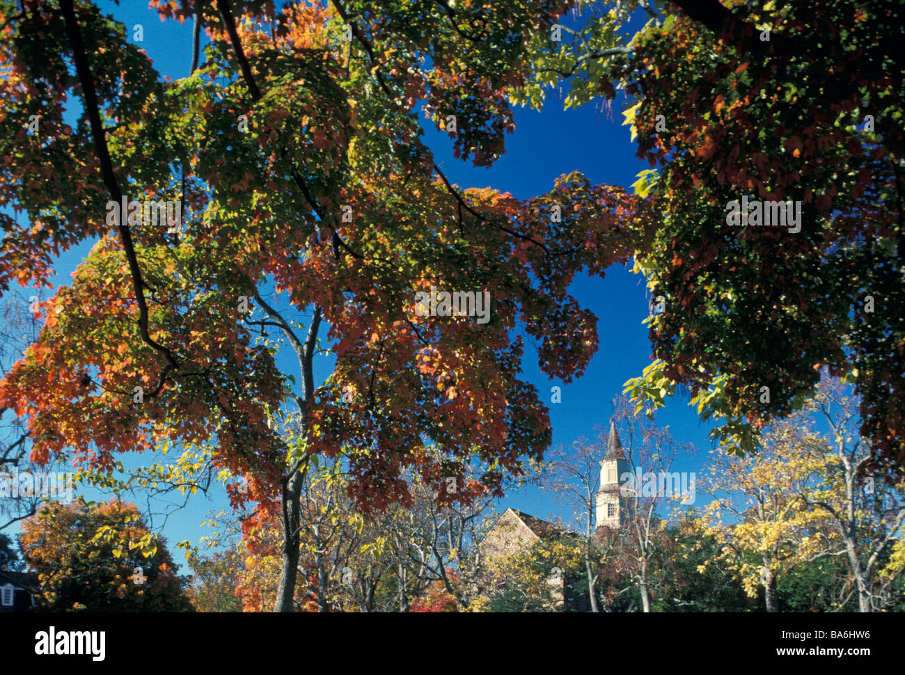 Trees in autumn with Bruton Parish Church (1715) in background Stock Photo