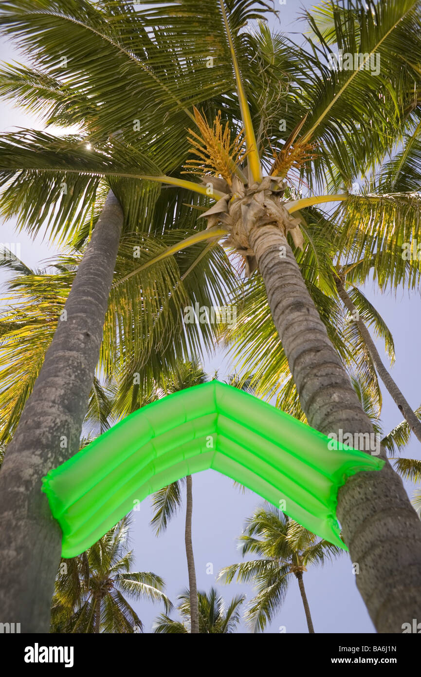The Palm Tree at the Beach: A Symbol of Relaxation 