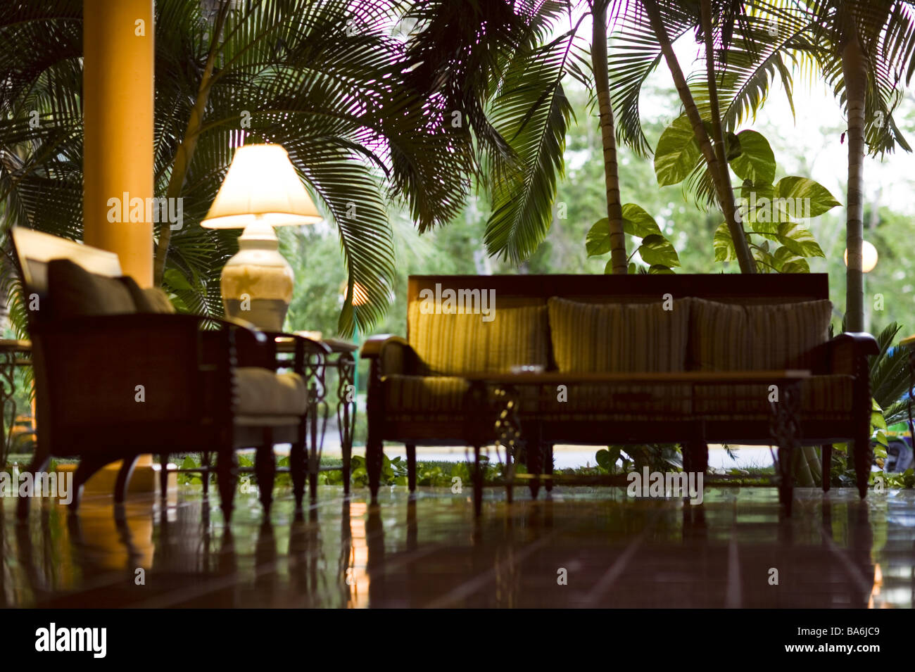Hotel lobby seatgroup greenplants hotellobby receptionhall bank