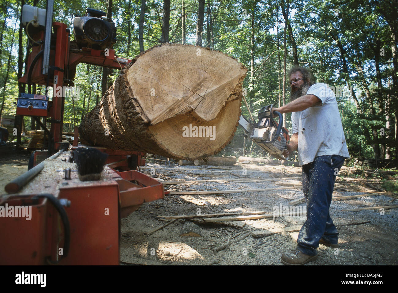 Forestry log man motorized saw forest people man forest-workers fell tree forest-workers workers chainsaw work occupation Stock Photo