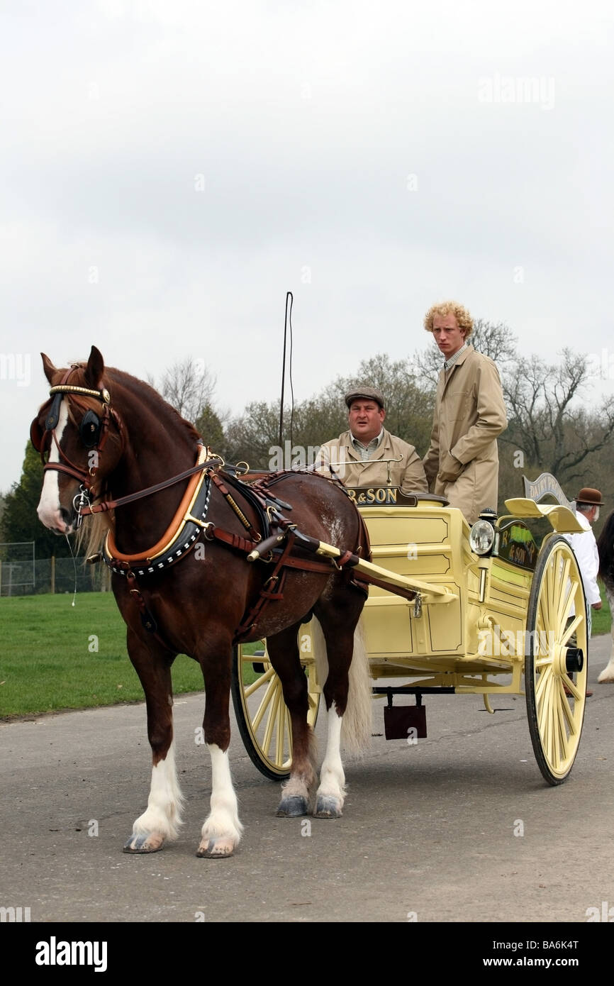 Horse pulling carriage at the London Harness Horse Parade Stock Photo