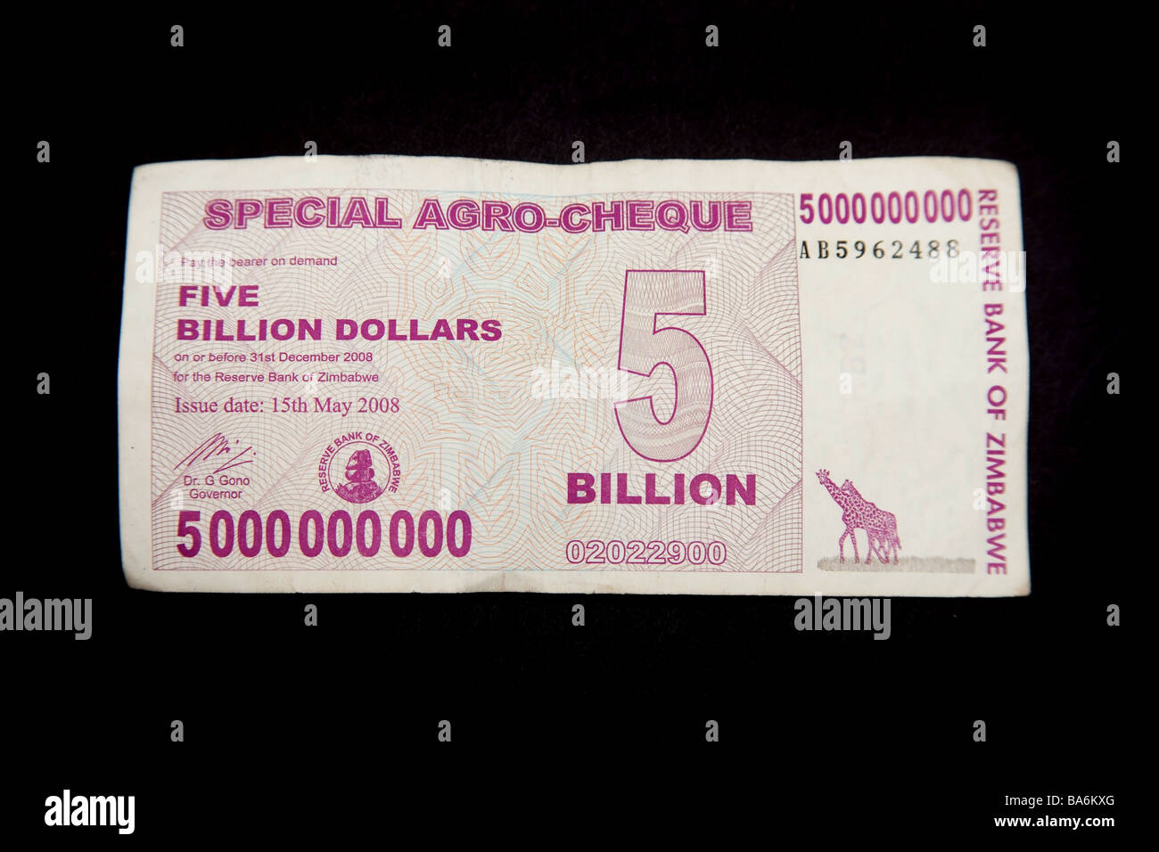Zimbabwean 5 billion dollar note on a black studio background. Stock Photo
