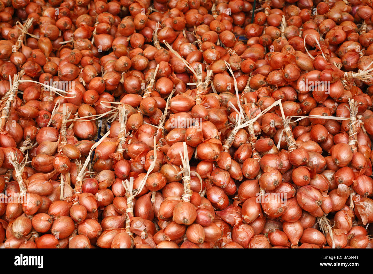 Shallots at a farmers market stall Stock Photo Alamy