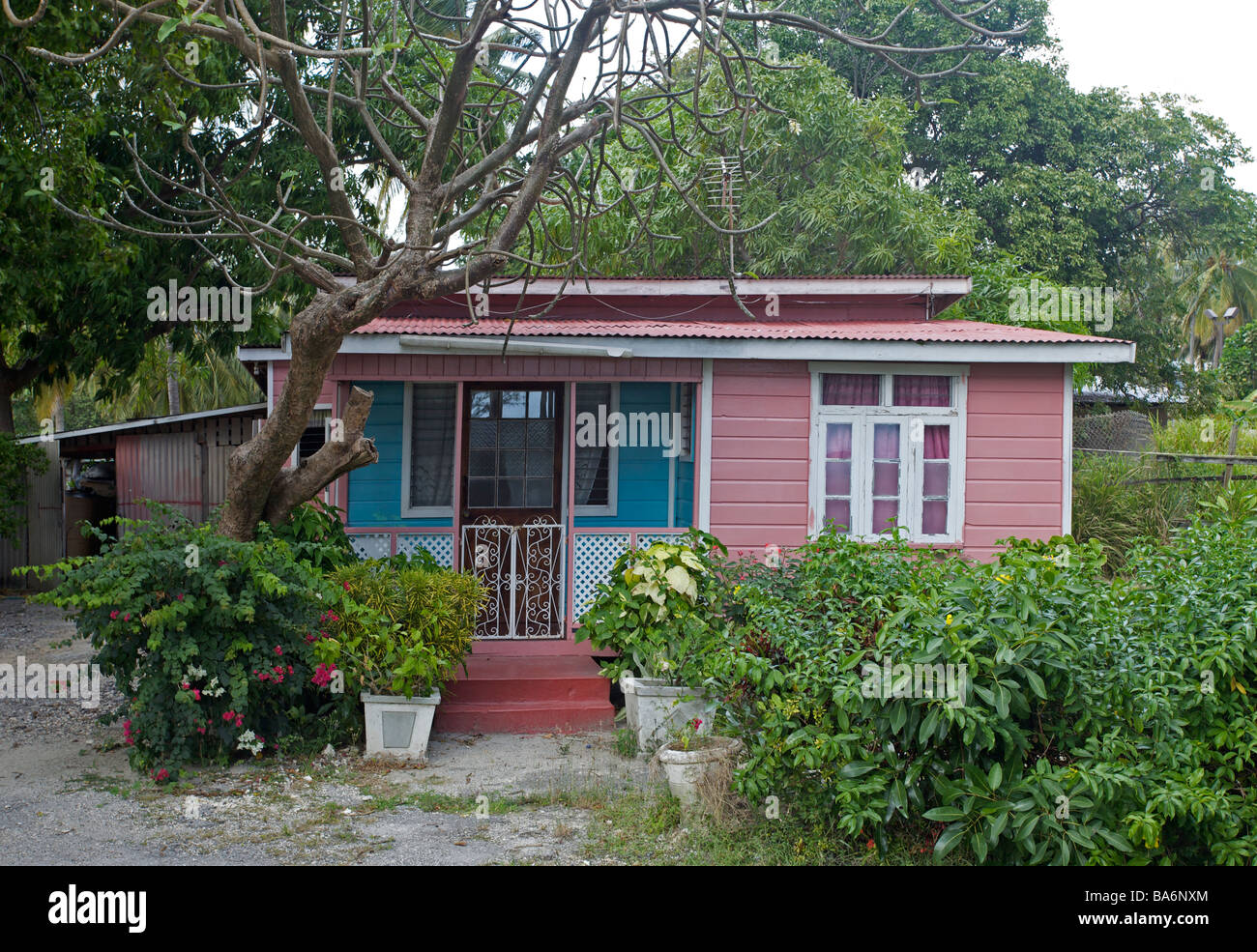 Traditional Chattel House in Barbados with pastel colors, Barbados