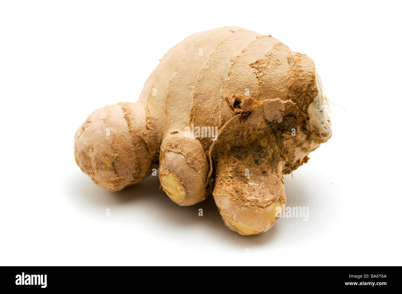 Ginger Zingiber officinale on a white background Stock Photo Alamy