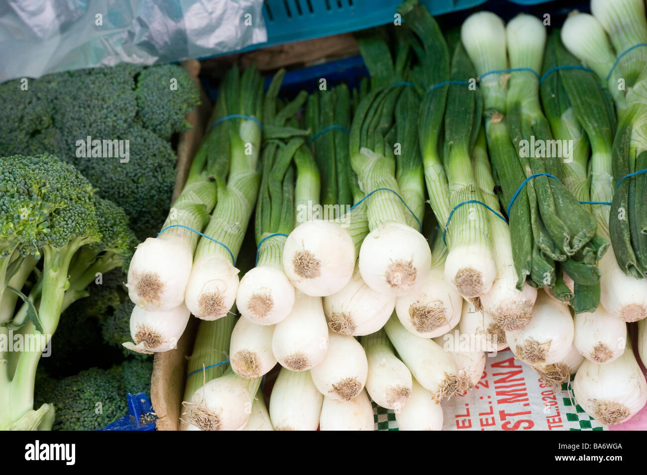 Spring oinions hires stock photography and images Alamy