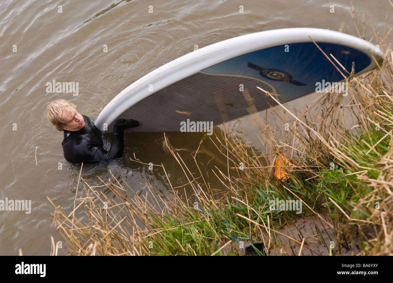 Surfers enter the water to ride the Severn Bore at Minsterworth Gloucestershire England UK Stock Photo