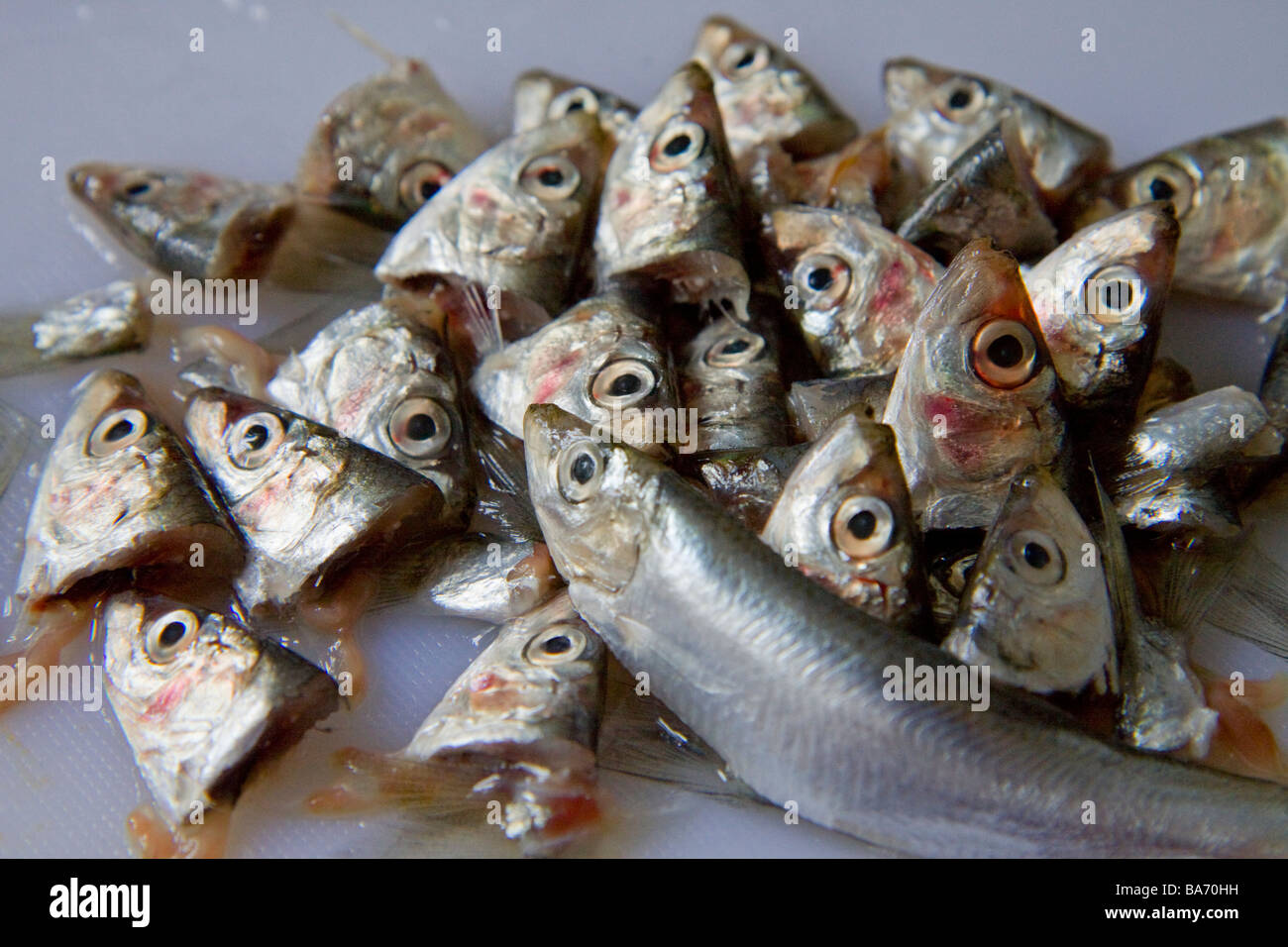 Highest in purine content hires stock photography and images Alamy