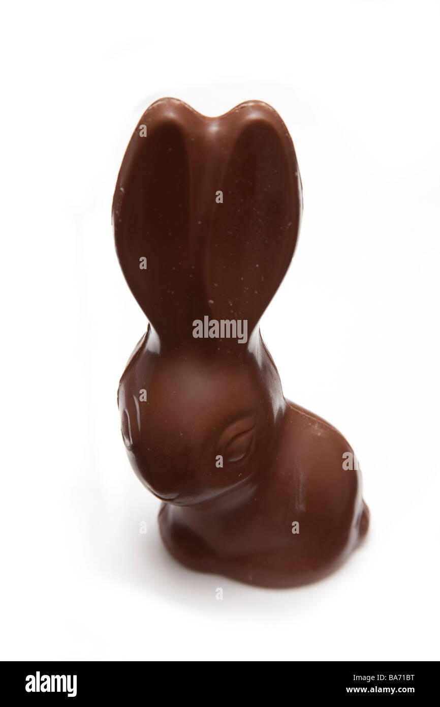Chocolate Easter bunny or Rabbit isolated on a white studio background. Stock Photo