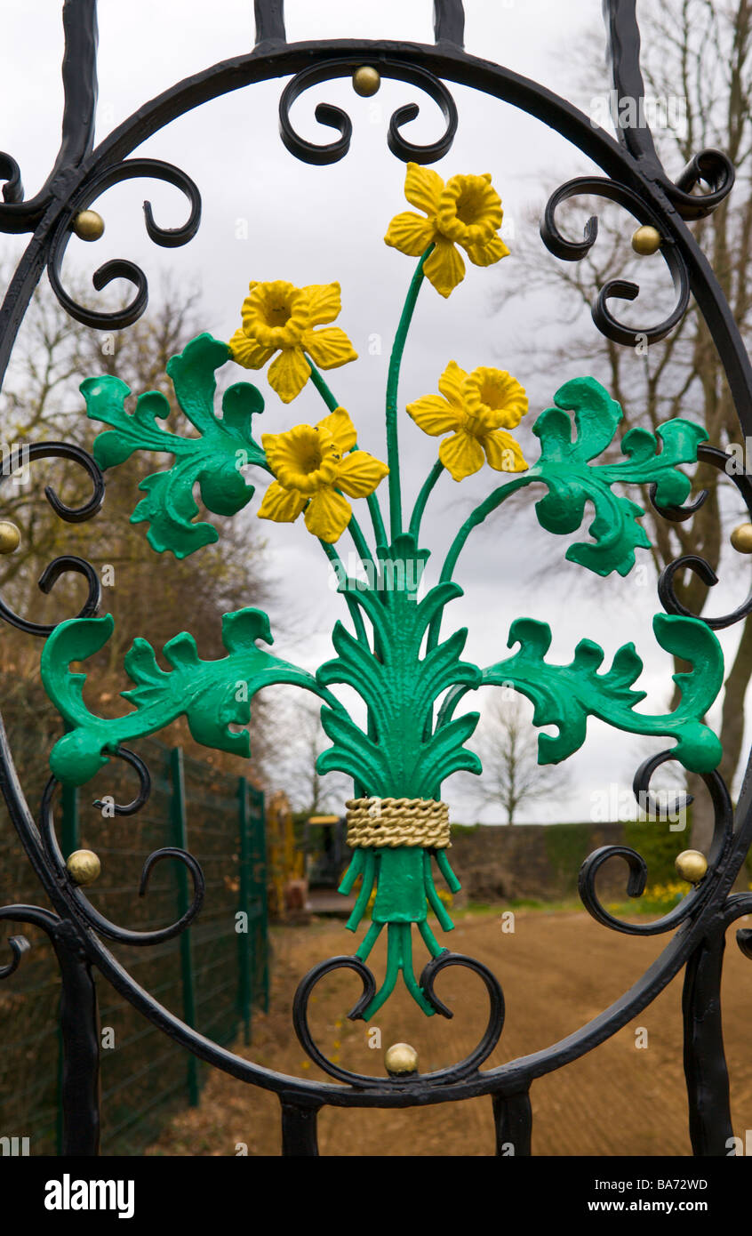 SWALEC Stadium Glamorgan cricket ground Sophia Gardens Cardiff South Wales UK daffodil motif on entrance gates Stock Photo