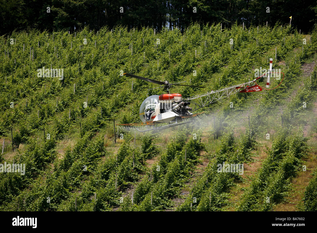 Spray vineyard helicopters pest control pesticide Stock Photo Alamy