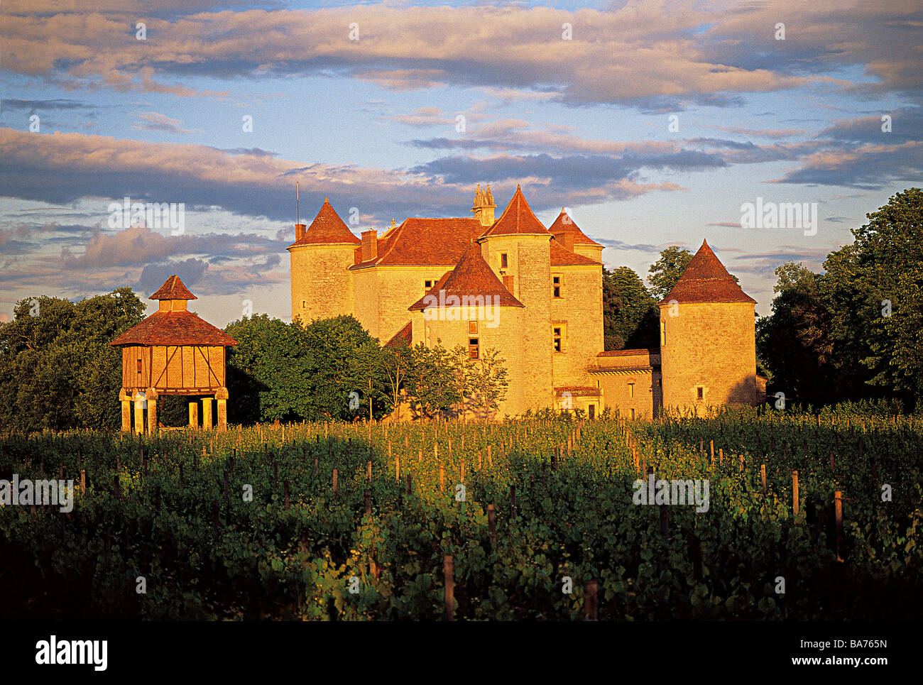 France, Lot, Caillac, Lagrezette Castle and Cahors vineyards Stock Photo