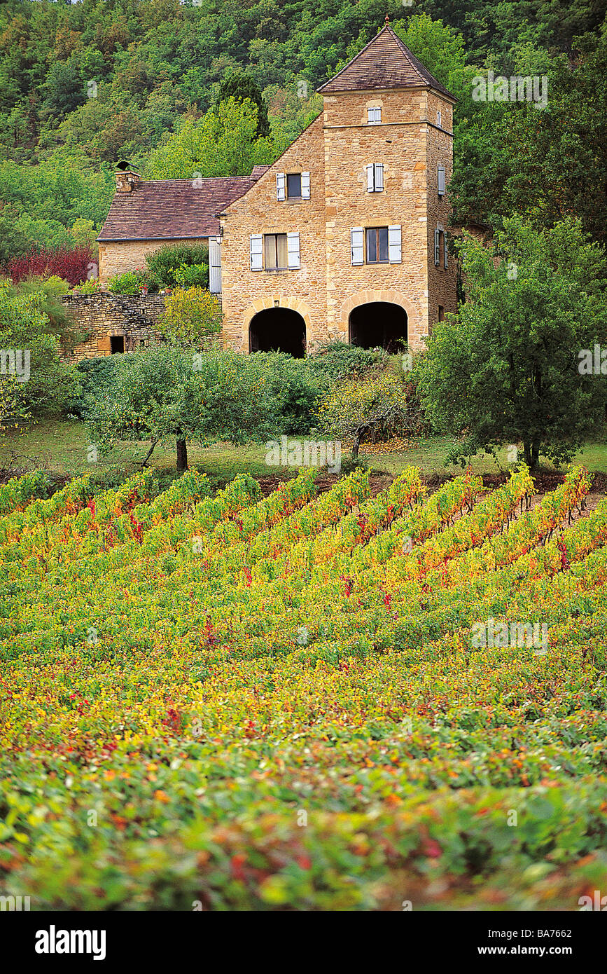 France Lot Cahors Vineyards Stock Photo Alamy france-lot-cahors-vineyards-stock-photo-alamy