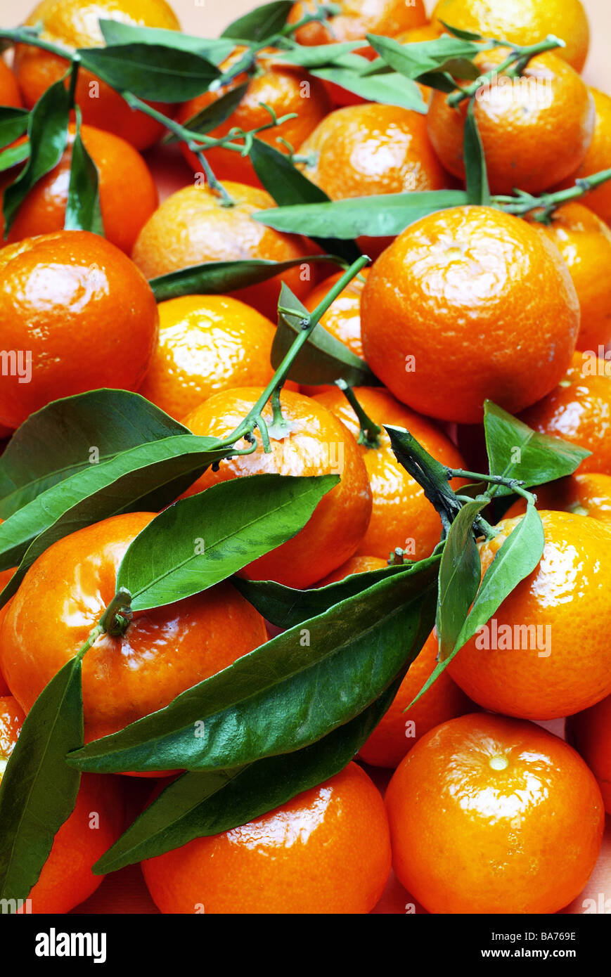Clementinen leaves detail series food tangerines fruit fruits breeding