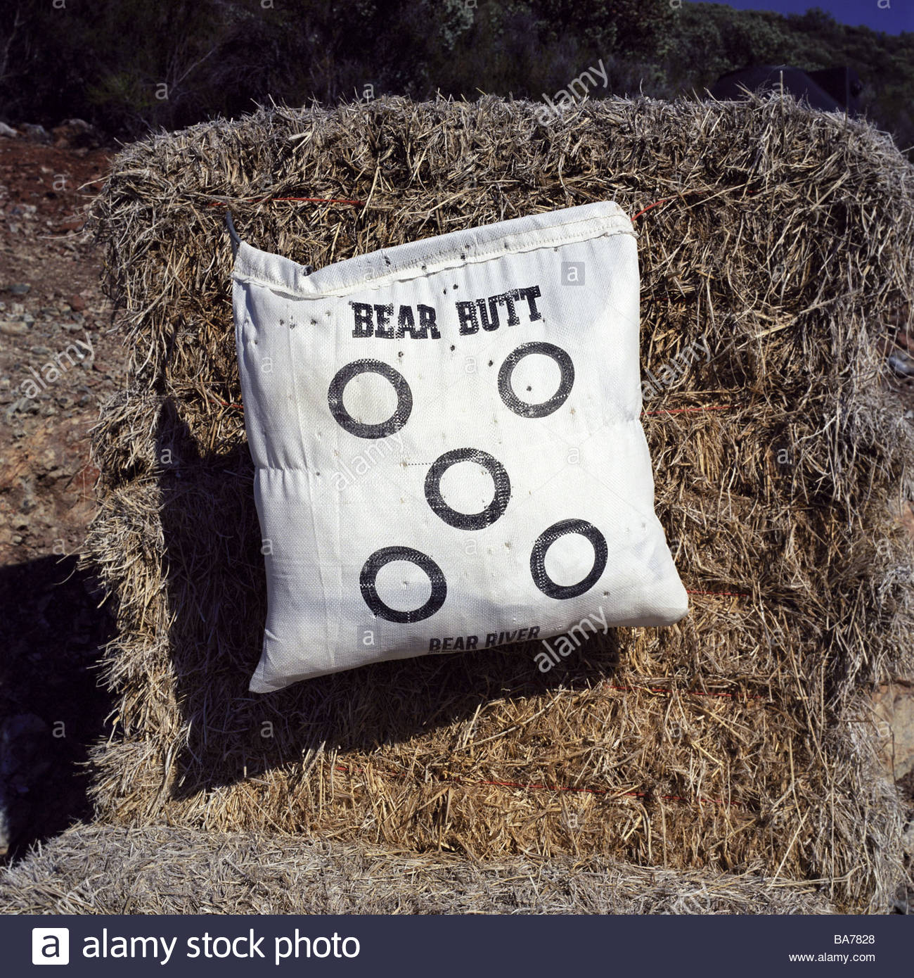RIGHTS RESERVED NYLON RECORDS Father Fuck Dauter