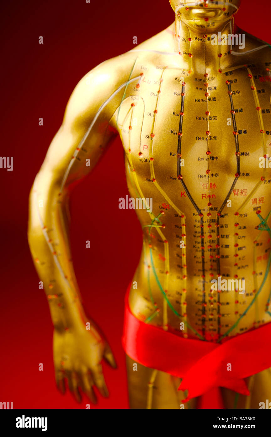 Acupuncture meridians hires stock photography and images Alamy