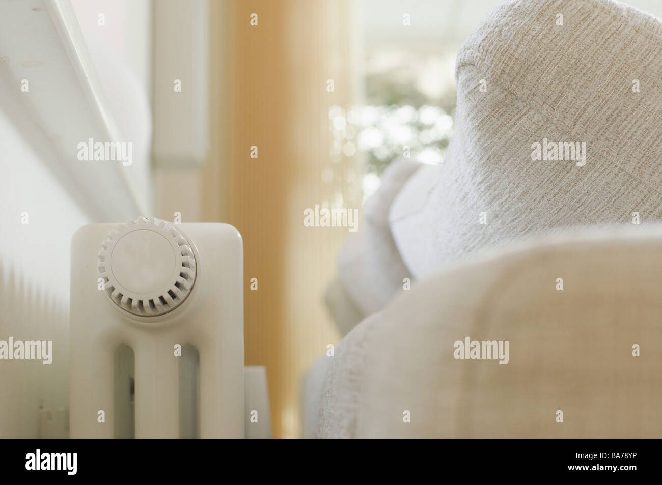 Living space sofa radiators detail living rooms day bed cushion-day bed ...