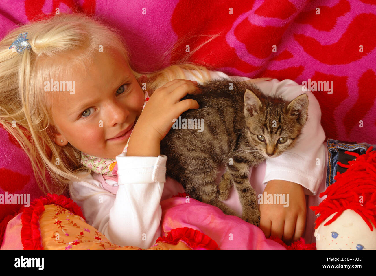 Girls smiles kittens doll cuddle lies portrait series people 5 years child-portrait child toddler blond gaze camera childhood Stock Photo