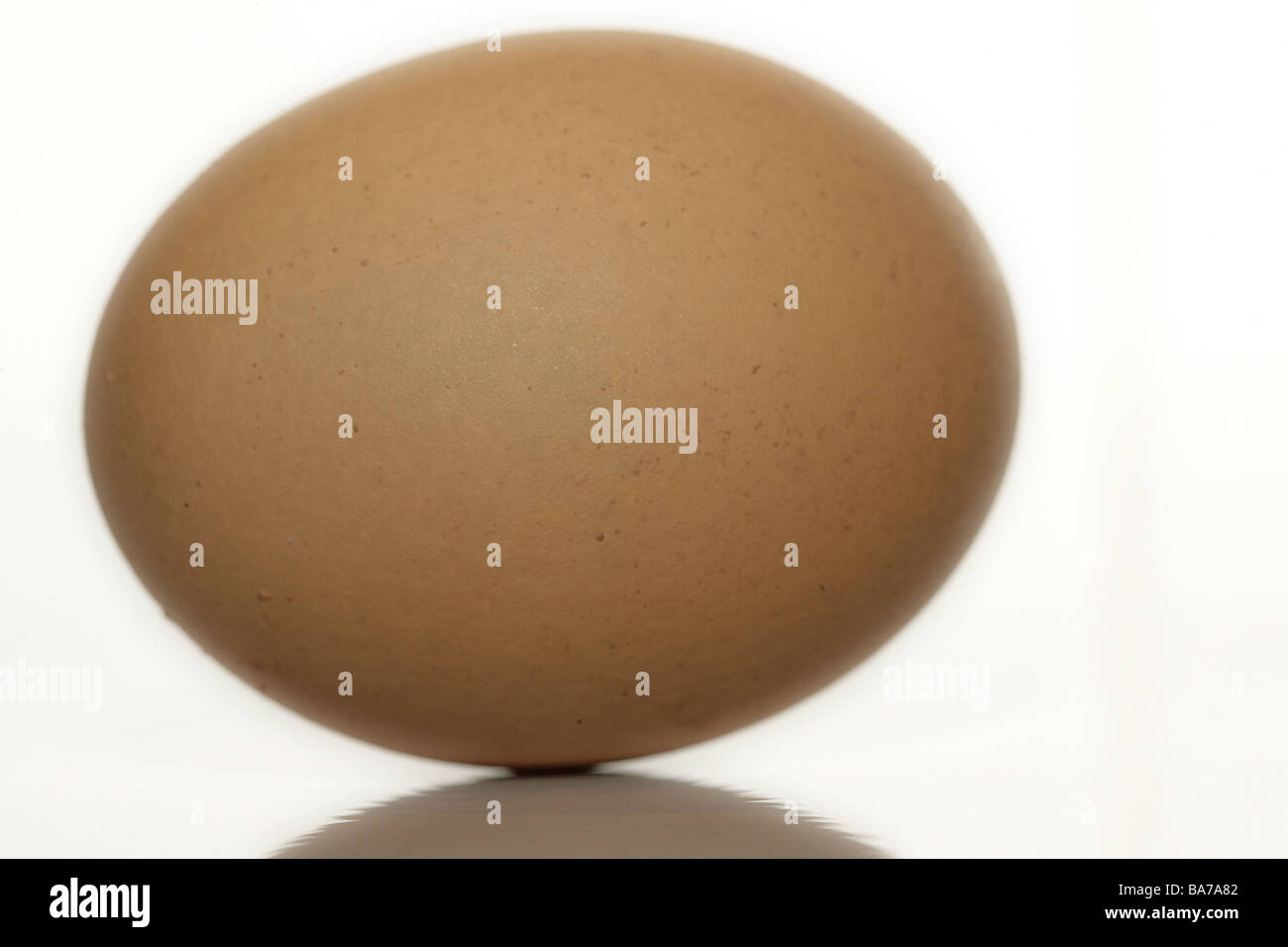 Hühnerei brown egg oval food symbol fragile fragile sensitively concept ...