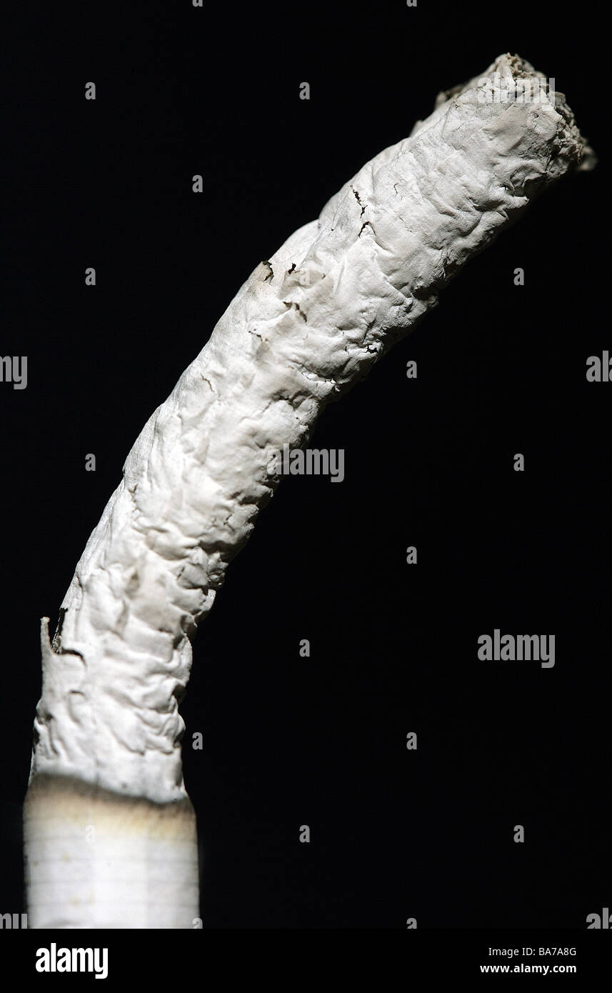 Cigarette been burned down ash detail filtercigarette symbol smoking