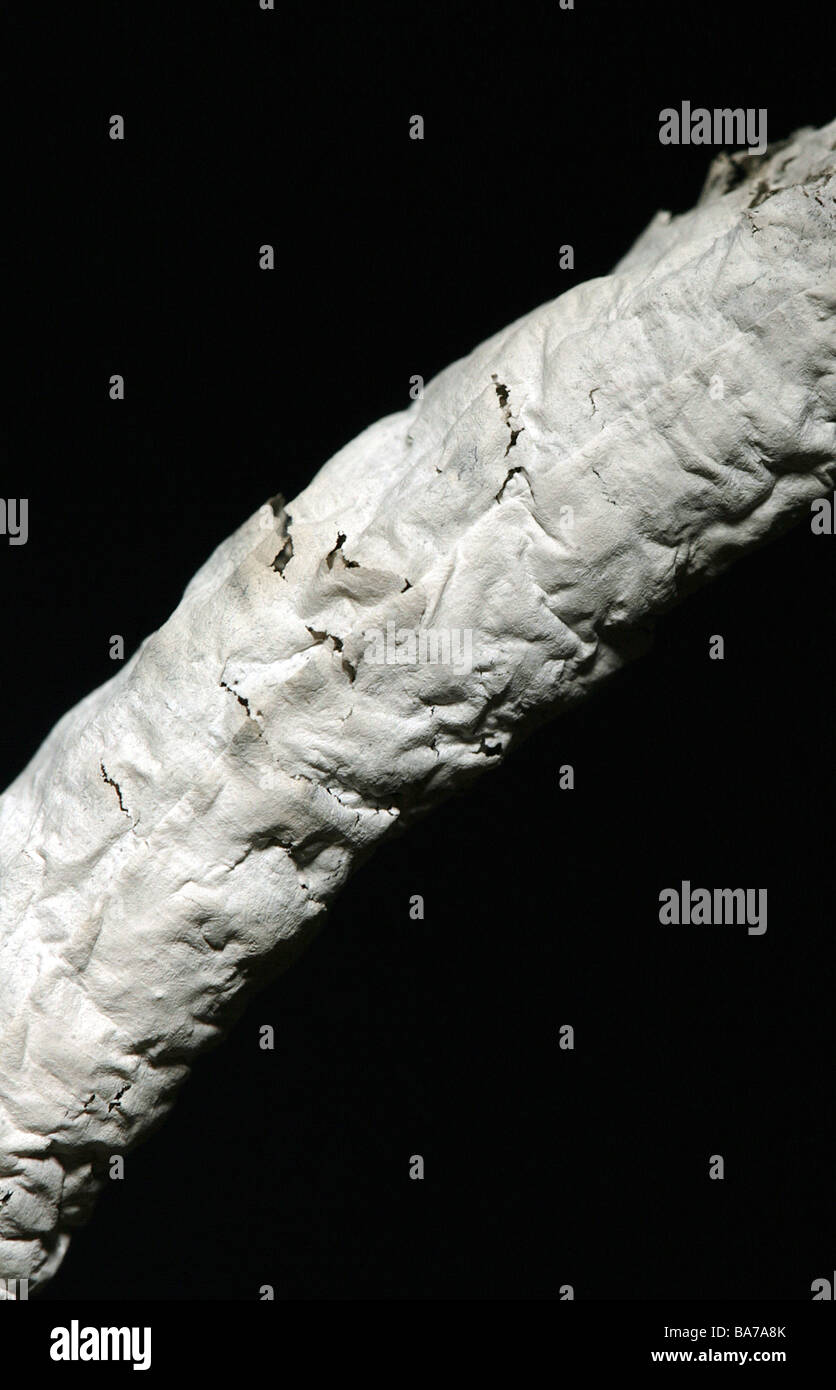 Cigarette been burned down ash detail filtercigarette symbol smoking