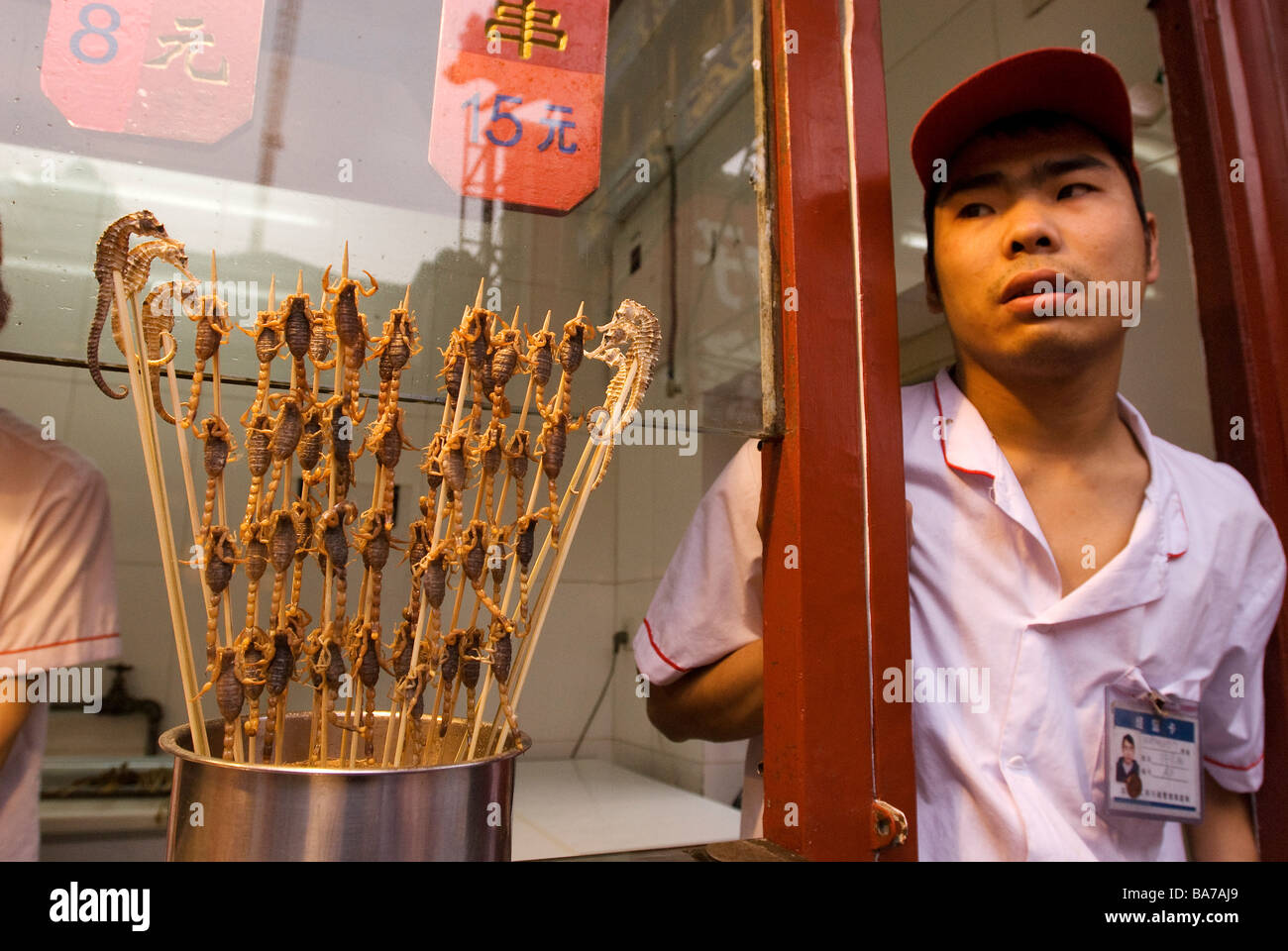 China, Beijing, scarabs and sea horses at the night street market off Wanfujing street Stock Photo