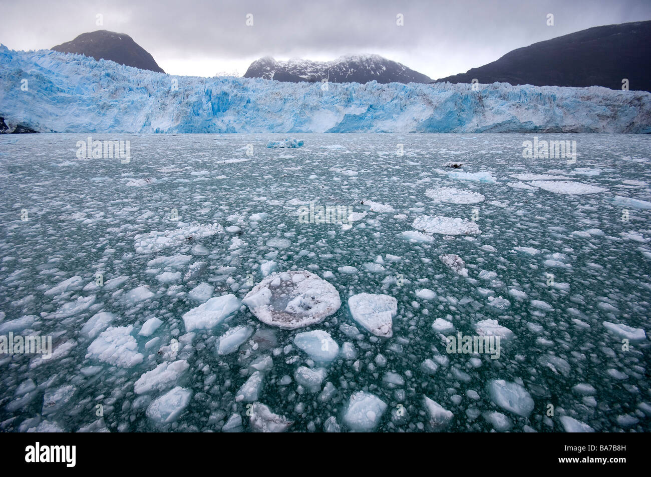 Chile, Southern Patagonia, Magellan Region, Amalia Fjord, Amalia Glacier Stock Photo