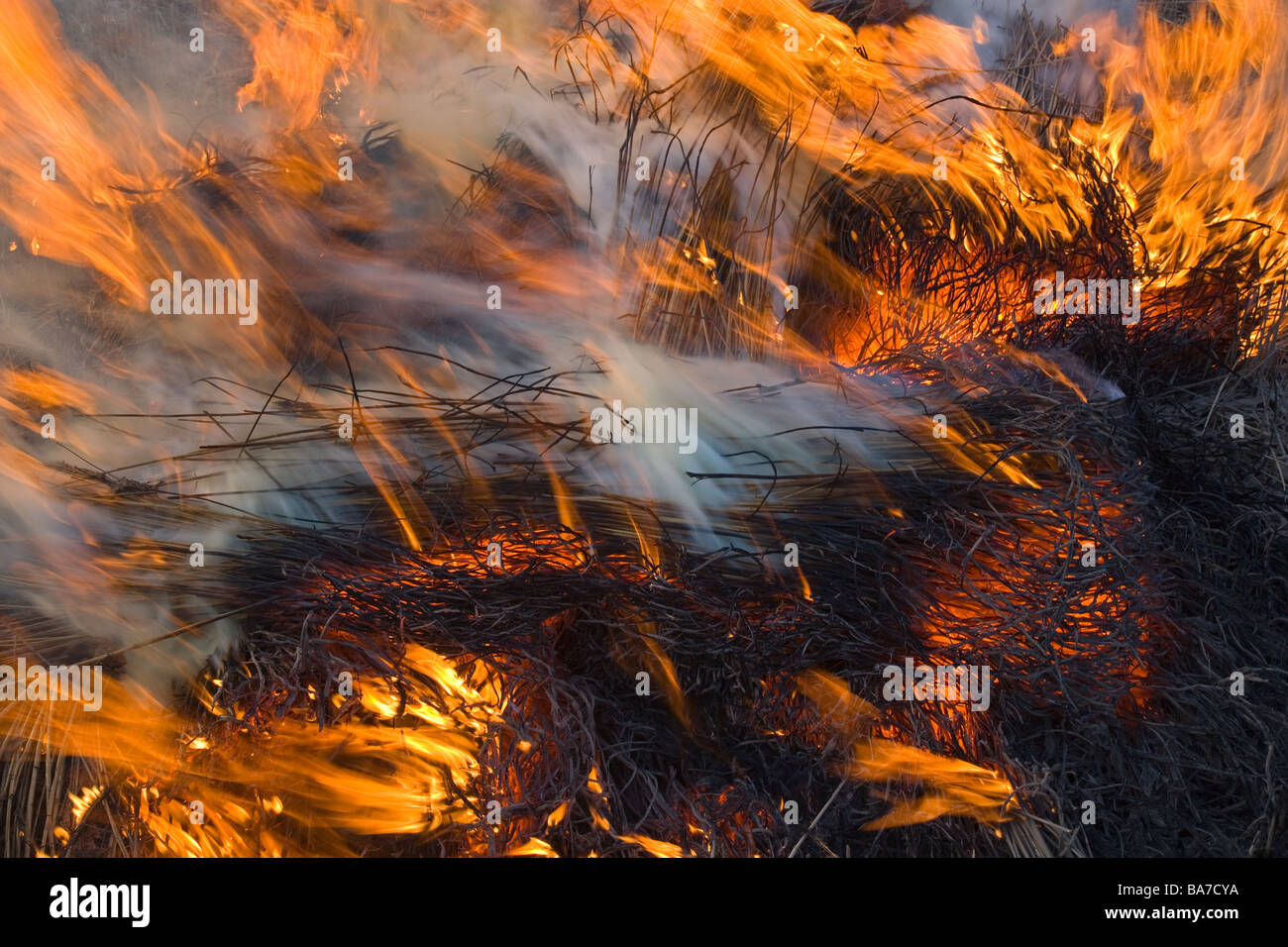 Burning beds hi-res stock photography and images - Alamy