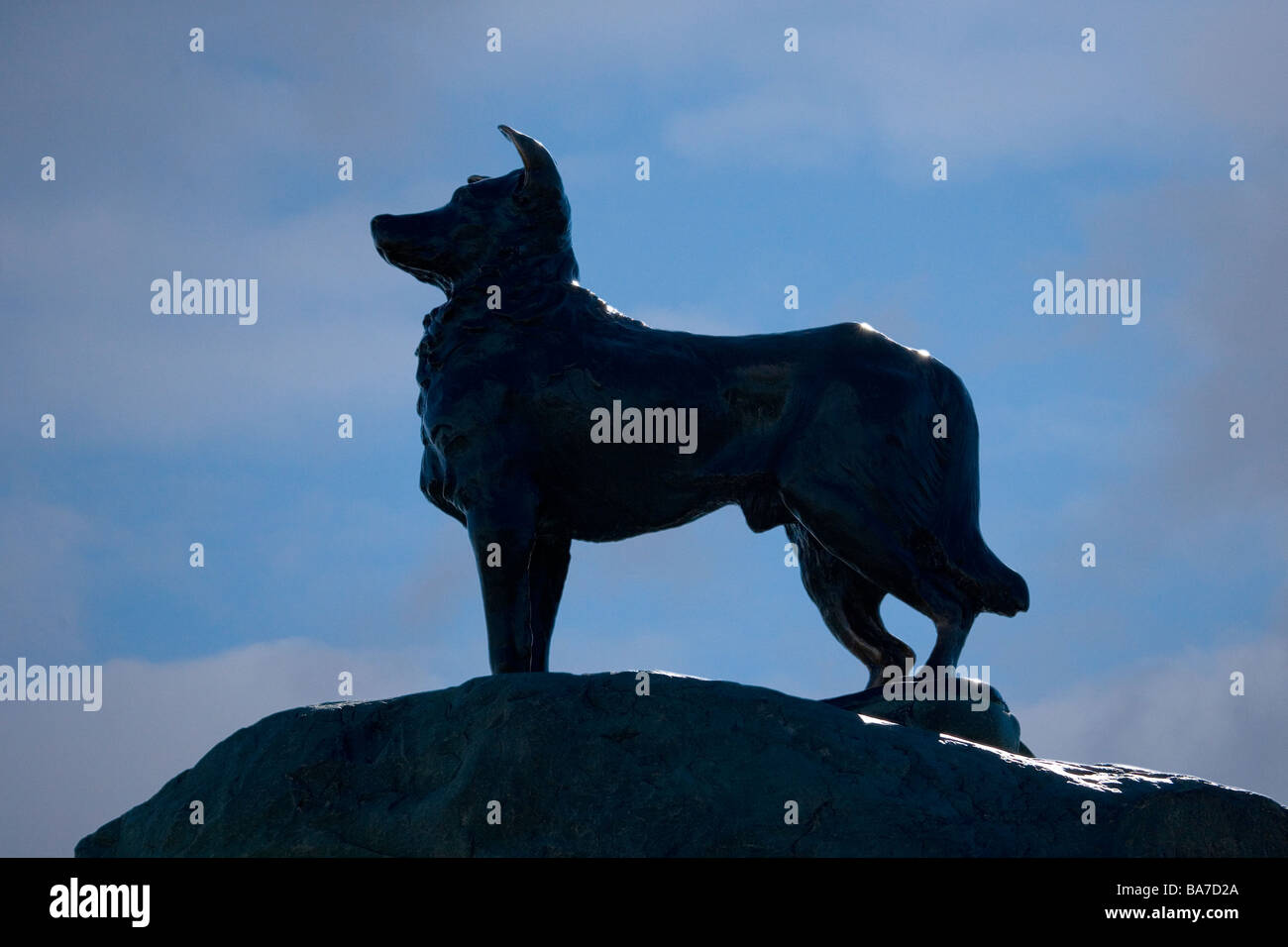 Collie Dog Statue Lake Tekapo New Zealand Stock Photo Alamy