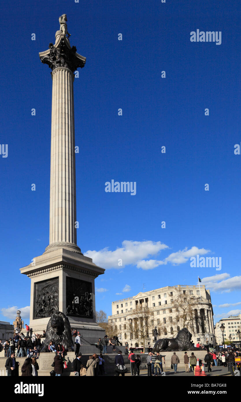 Nelsons column, Trafalgar Square, London, England, UK. Stock Photo