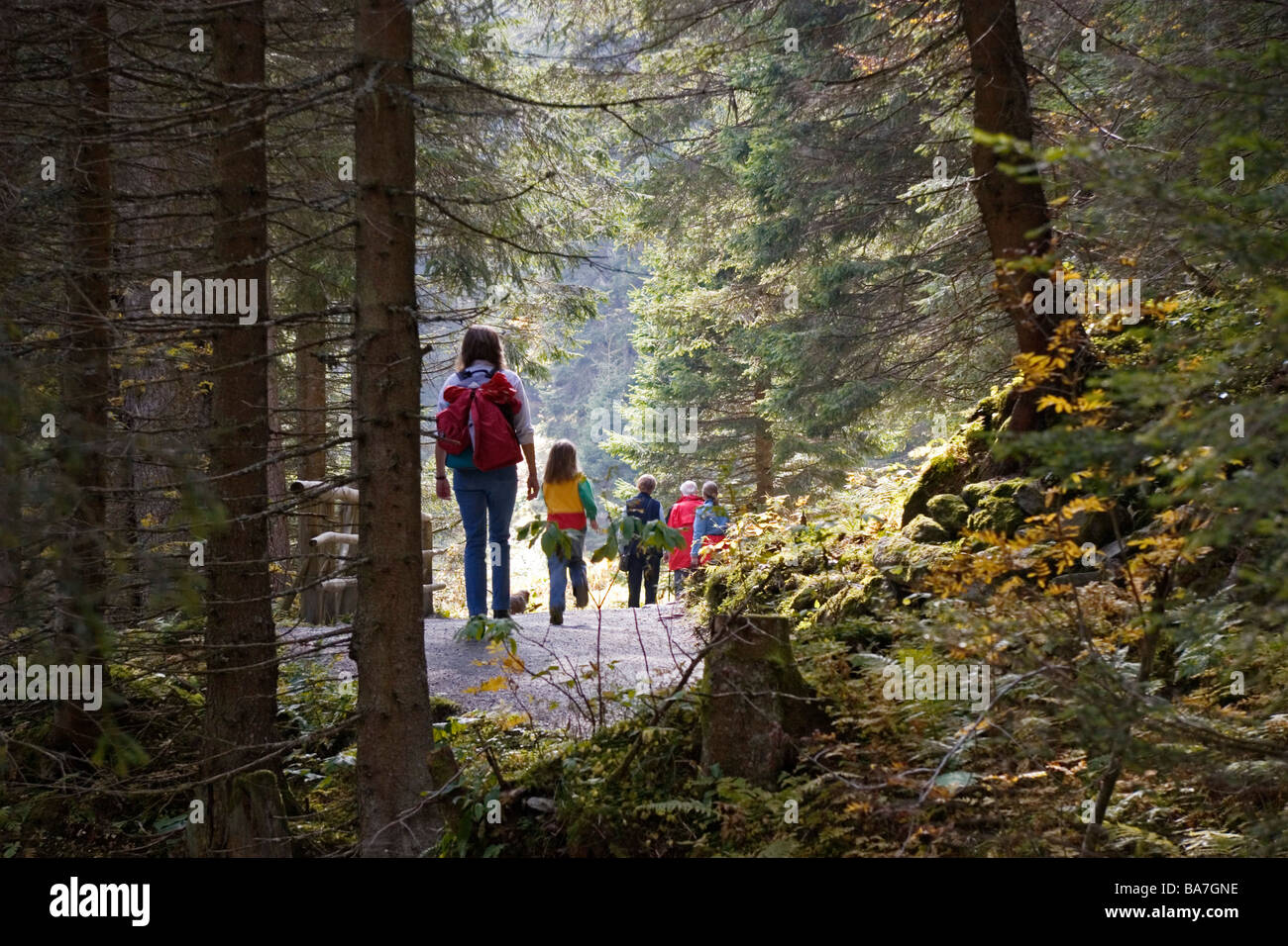 Hike Along Krimmler Waterfalls, Highest Waterfall In Europe, Hohe ...