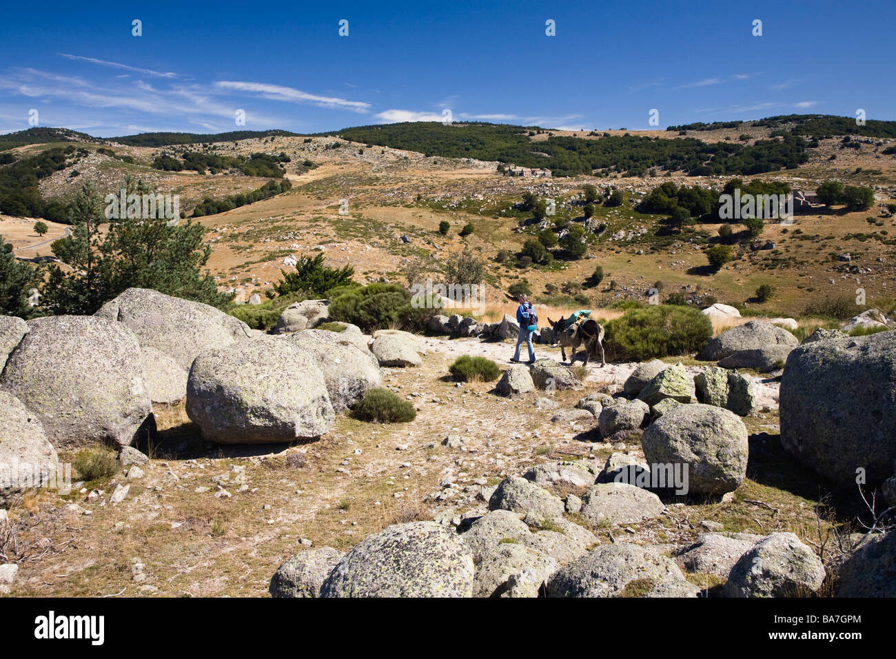 Woman on a hiking tour, Hiking trip with a donkey in the Cevennes mountains, Cevennen, France Stock Photo