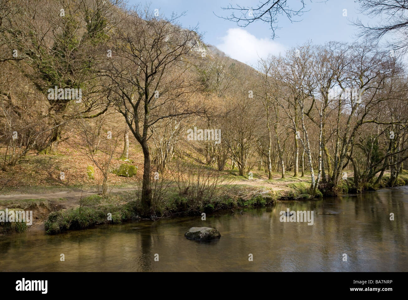 The River Teign near Fingle Bridge within Dartmoor National Park, Devon, England Stock Photo