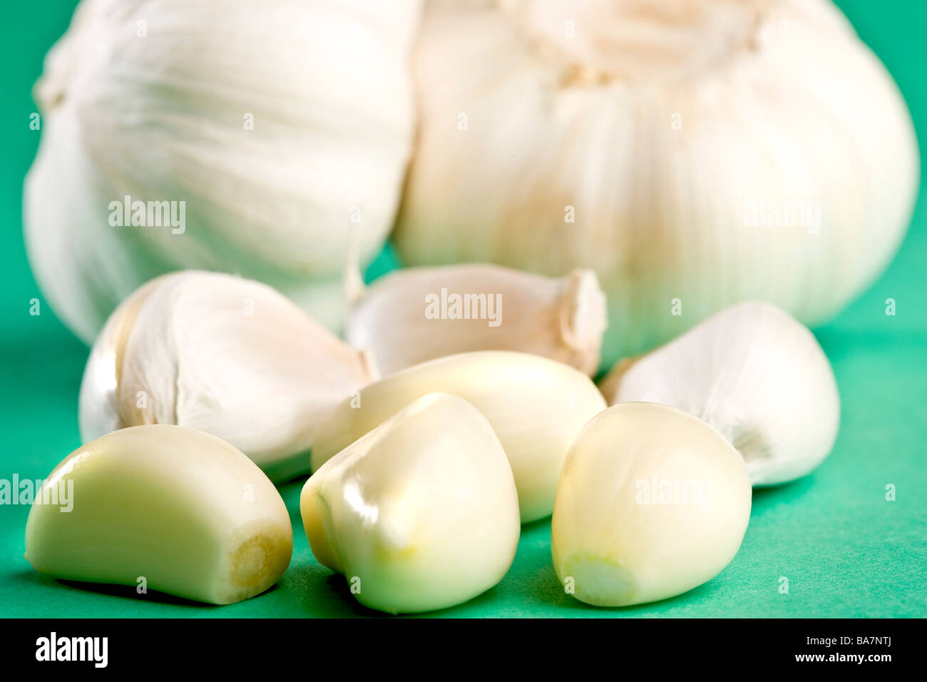 Garlic bulbs and cloves Stock Photo Alamy