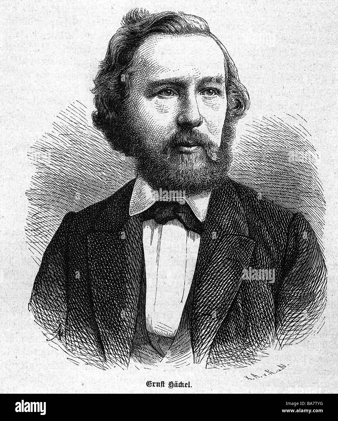 Haeckel, Ernst, 16.2.1834 - 9.8.1919, German scientist, portrait, wood engraving, 19th century, Stock Photo