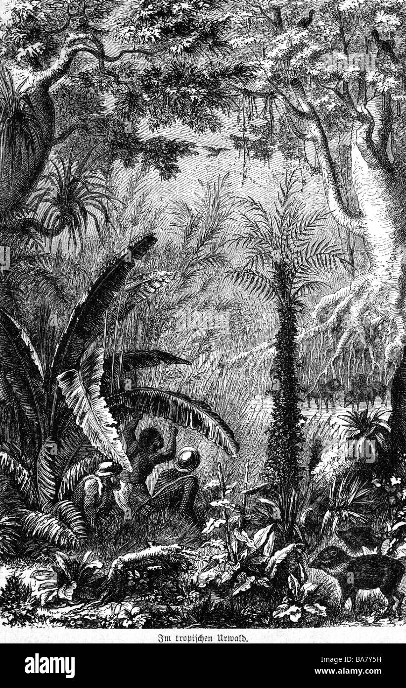 Humboldt, Alexander von, 14.9.1769 - 6.5.1859, German scientist (naturalist and geographer), expedition in jungle, wood engraving, 19th century, Stock Photo