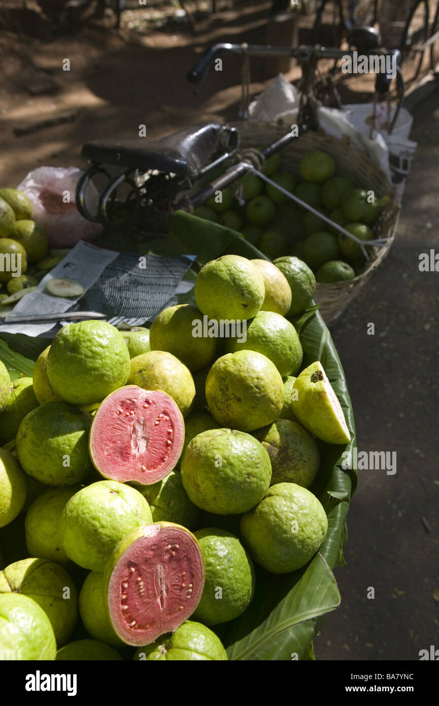 India Karnataka Bangalore Cubbon park sale Guaven Asia SouthAsia food