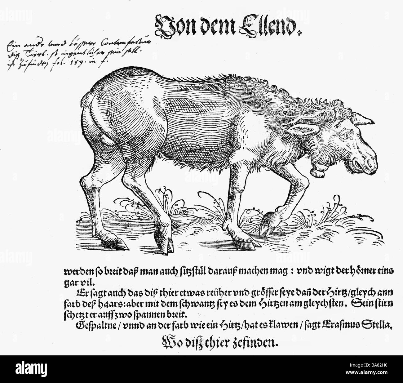 zoology / animals, textbooks, zoology / animals, textbooks,