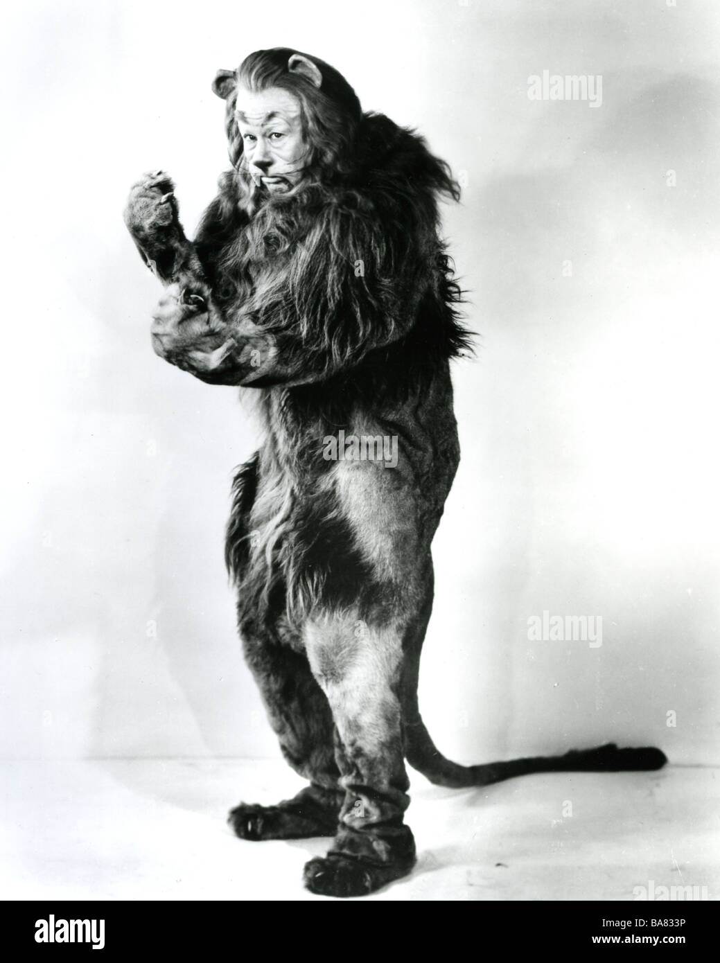 THE WIZARD OF OZ  1939 MGM film with Bert Lahr as the Cowardly Lion Stock Photo