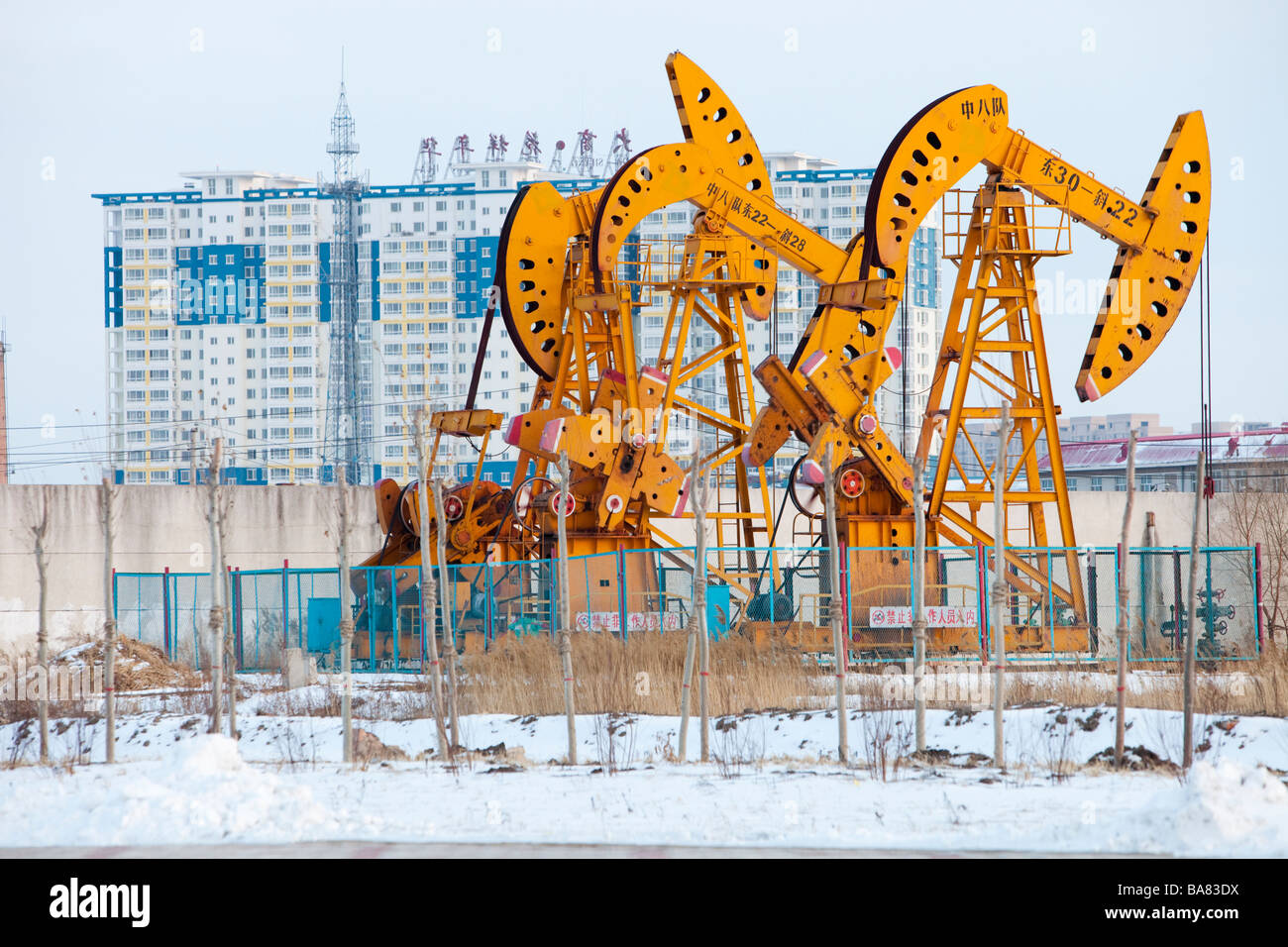 Nodding donkey oil pumps in the Daqing oil field in northern China Stock Photo